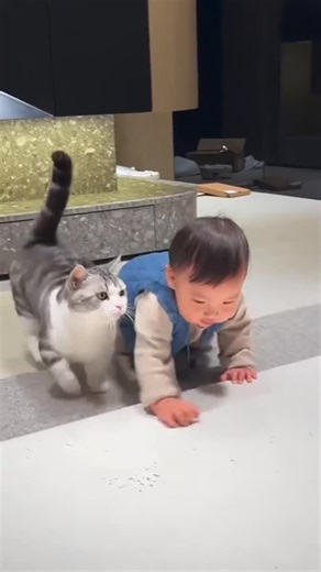 Grow with Cats on Instagram: "Cat Know Babies Are Special 😍❤️👇🏻 #growwithcats #cat #petcareprovider #catbehaviour #bestpetsupplies"