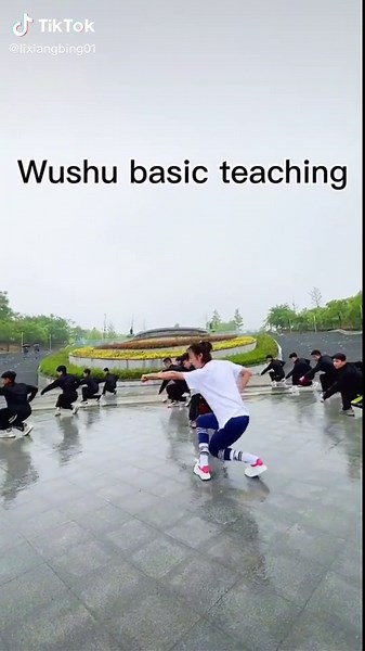Wu Shu Kids Tutorial and Martial Arts Training