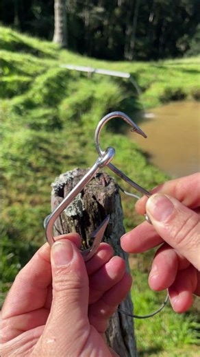 How to catch 2 fish at the same time using this hook technique #AmericanDIY #ProTrick #DIYHack