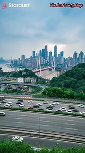 🧠✨ From broken husband to cancer pioneer, fate gives him a second life! 🔥👑 ✅ Click this link ⏩https://link.stardust-tv.com/2W7t3 #DramaBox #StardustTV #FlickReels #KalosTV #SnackShort #GoodShort #MoboReels #TouchShort #DreameShort #FlexTV #reelshort #shortsvideos #shortdrama #ShortVideoStatu #tylerscherer #jarredharper #markvega | Drama Bites