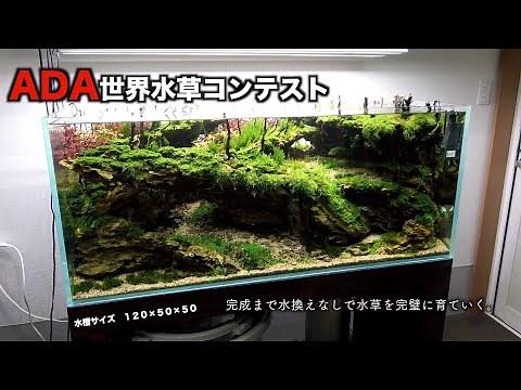 ADA World Aquatic Plant Contest: Enjoying an aquatic plant layout without water changes, from sta...