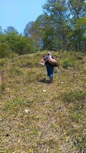 THAT CLIMB WAS BRUTAL 🥵🎯💥 #hunting #wildlife #nature #waiting #amazon