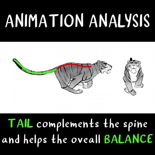 2D Tiger Run (Tamerlan Bekmurzayev) | ANIMATION ANALYSIS