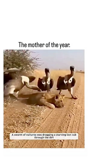 buzz__decode on Instagram: "The video shows an Asian mother in a kitchen wrapping her adult daughter's long hair tightly with yellow cling film, forming a helmet-like seal, as the daughter looks bewildered amid overlaid question marks and subtitles; bystanders, including a man and child, watch passively without reaction. Posted by @TheFigen_ , a account sharing positive memes and art, the clip labeled "The mother of the year" has exploded to 9,137 likes and 346,328 views within hours, evoking la