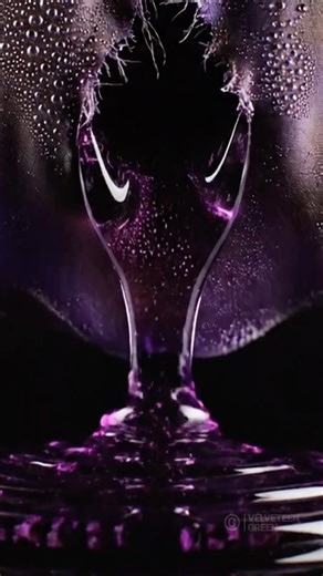 Strange Creatures Vol. 18 | Bio-Lux ASMR #OddlySatisfying #ASMR