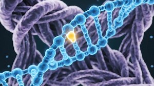 This is Breakthrough...! VEO 3.1 Can Control Even the Detailing Of Microscopic structures in Human Body Very Efficiently With JSON Template That I have Built...! Video Description : - How Cell is divided into 2 daughter cell. - What chromosomes actually look like. AI is not Only For YouTube & TikTok Automations...! | Mohsin Muntazir