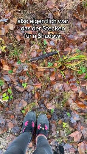 Luney Tunes (Bambi Originale) on Instagram: "Shadow und Yuna sind so unterschiedlich?! Yuna ist ein relativ leiser Hund und hat viel Spaß alleine also sie spielt wirklich gerne alleine und hat so Spaß.. der Shadow ist relativ laut und hat irgendwann Spielzeuge im Wald gegen Stecken eingetauscht und die müssen natürlich ganz groß sein *zum Schutz der Umwelt nehm ich keine Spielzeuge mehr mit, da ich sie im Wald nicht mehr finde zwischen dem Laub und so 🫠 #colddays #germanshepherd #dogfun #hund #