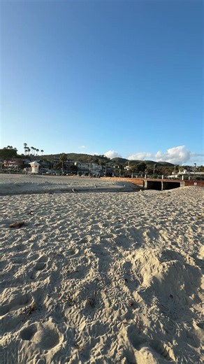 Just a Beautiful Day at Laguna Beach 🌊🐦 California Coastal Life