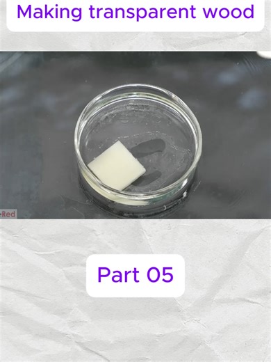 #nile #science #education #chemestry