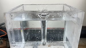 This dive creates a massive splash