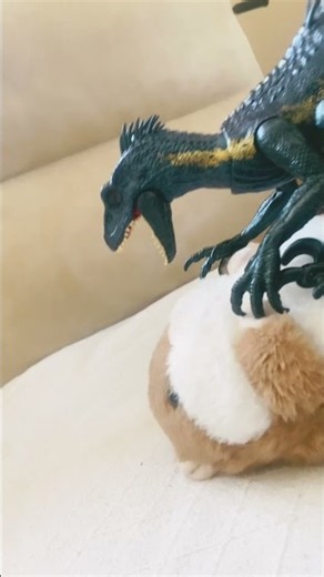 Hámster Vs indo raptor