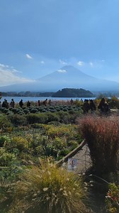 CANTIK BETUL OISHI PARK DI JEPUN NI! #travel #japan #jepun #oishipark #fuji | JomJapan.com | Facebook