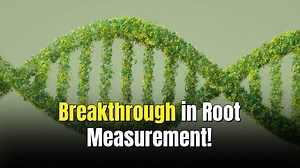 DNA breakthrough reveals the hidden life of plant roots