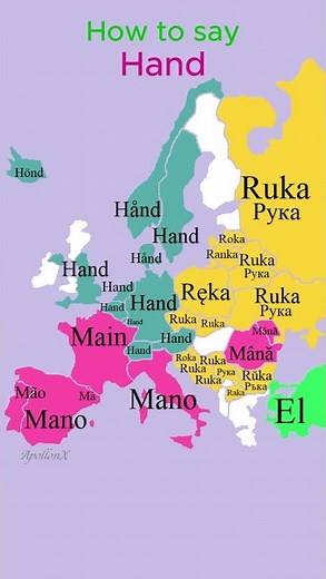 How to say Hand | Human Body | European Languages Comparison #shorts #comparison #map #language