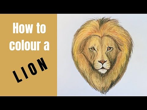 How to colour in a lion