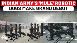 13K views · 291 reactions | At Kolkata's #RepublicDay celebrations, the Indian Army unveiled its groundbreaking robotic dog, '#Sanjay.' This all-weather, cutting-edge MULE (Multi-Utility Legged Equipment) captivated audiences with its futuristic capabilities. Watch video. | Hindustan Times | Facebook
