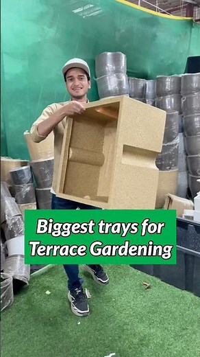 Terrace Garden setup के लिए perfect containers 🏡| #shorts #gardening