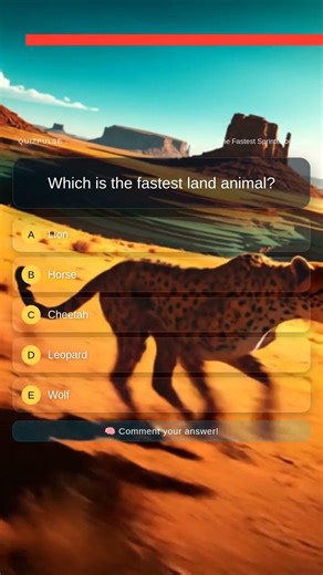 Rapid-Fire Quiz: Test Your Knowledge! #1