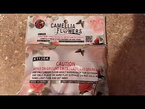 Camellia Flowers King Bird Fireworks