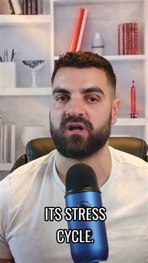 Why My Child Can’t Reset After Stress