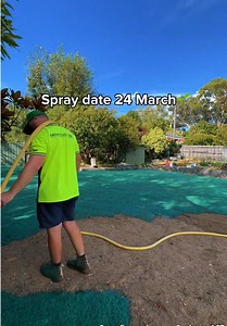 Hydroseeding vs Turf: Why Hydroseeding Is Better