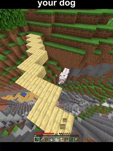 Minecraft Adventures with My Dog