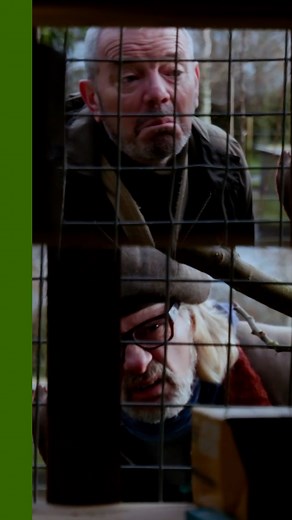 5.4K views · 43 reactions | Will Henry accept Simon’s Tilley Lamp challenge? #FindItFixItFlogIt | U&Yesterday | Facebook