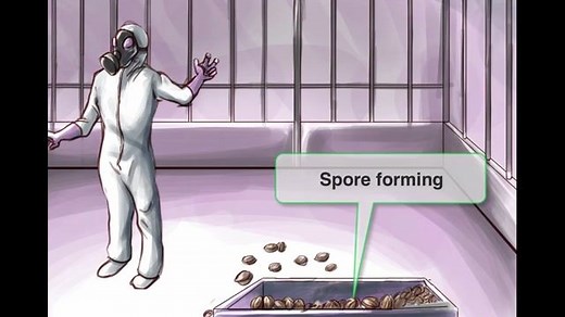 Clostridium tetani - Free Sketchy Medical Lesson