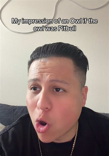 Owl impression but it’s Pitbull 🦉 #viral #owl #pitbull #impressions #voiceimpressions