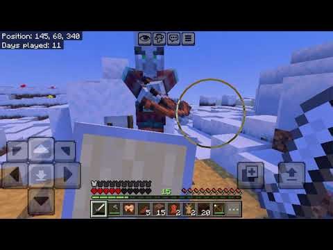 Minecraft Hardcore day 11