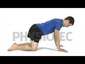 Motor control of cervical extension in 4 point kneel