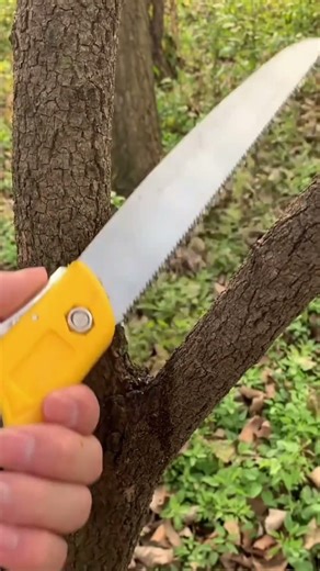 Real Outdoor Work: Cutting Wood and Tree Branches Smoothly Using a Saw Knife