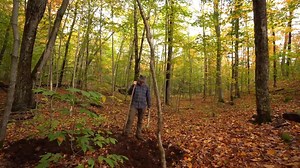 9.4K views · 713 reactions | Forest fires are often caused by campfires that are built over tree roots that catch on fire and spread underground. Here's one way to prevent that. Check out my YouTube channels for more content like this: My Self Reliance https://www.youtube.com/channel/UCIMXKin1fXXCeq2UJePJEog Shawn James https://www.youtube.com/channel/UC5L_M7BF5iait4FzEbwKCAg Merchandise https://my-self-reliance.creator-spring.com/ | My Self Reliance | Facebook