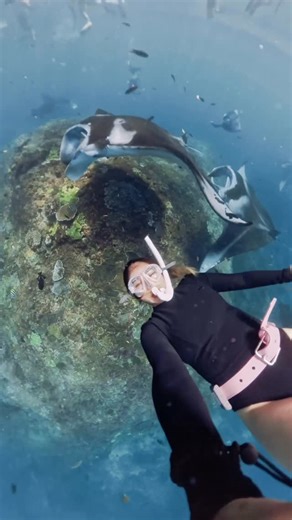 Sharina Richie on Instagram: "I got slapped by a Manta 😆 , i’m so sorry i didn’t see you there! Gotta be more careful next time when i freedive backwards. 📍Manta Point, Nusa Penida Bali. #ocean #manta #freedive #sea"