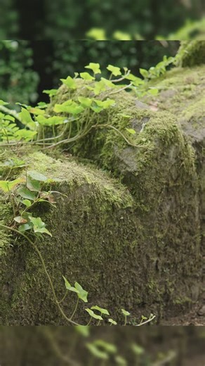 Made with premium Italian suede leather and a waterproof membrane - The ladies’ Cairngorm walking boot delivers style, comfort and durability. #hikewithgrisport #aworldtodiscover | Grisport UK