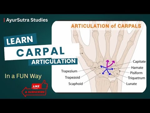 CARPAL Bones Anatomy | ARTICULATION of Carpals Wrist Joint | AyurSutra Studies