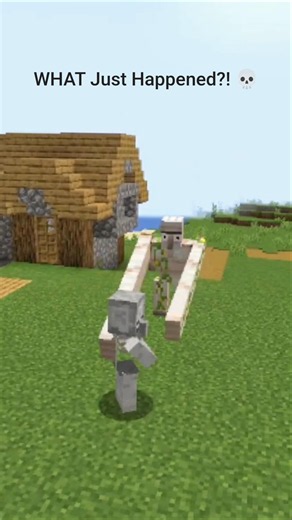 Skeleton Became a Villager?! 😂 #fun #memes #funny #viral #minecraft