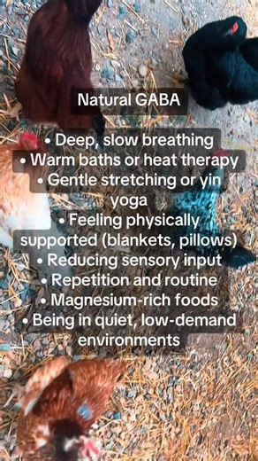 Natural #GABA (calm, safety, nervous system braking) • Deep, slow breathing • Warm baths or heat therapy • Gentle stretching or yin yoga • Feeling physically supported (blankets, pillows) • Reducing sensory input • Repetition and routine • Magnesium-rich foods • Being in quiet, low-demand environments GABA is what tells the nervous system “You can slow down now.” | Genesys Naturopathic Services