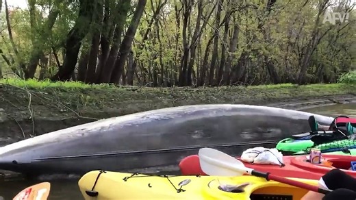 Drop It Like It's HOT! BEST FAILS  Funny Videos Compilation