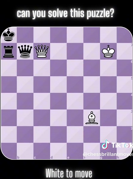 Brilliant Chess Moves by Masters