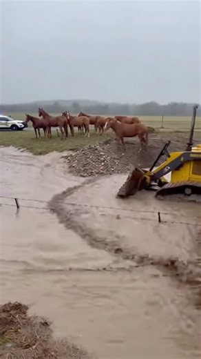 NO WAY HOME… A Flood Rewrote the Ranch Overnight