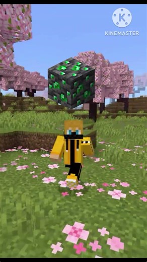 The Rarest Block in Minecraft History! 💎🚫#minecraft #minecraftshorts