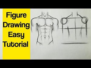 How to draw human figure drawing Male Torso easy for Beginners| Pencil drawing tutorial easy Basics