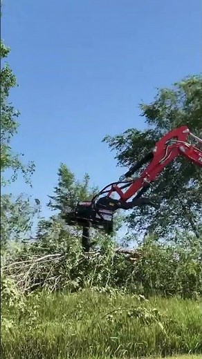 Timelapse of Virnig 42" Mini Excavator Rotary Brush Cutter Taking Down a Tree