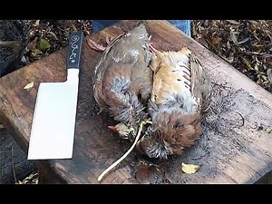 Wild Bird Preparation for Tandoori Partridge