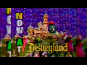 Disneyland - Disney Afternoon Live (1991, USA)