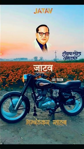 Jatav sher 💙💙 Jai bhim 😈😈 Jatav ⚡⚡JAI BHIM 💙 JAI SAVIDHAN 🔥 JAI BHEEM BABA SAHAB 🌍 JATAV 🚫