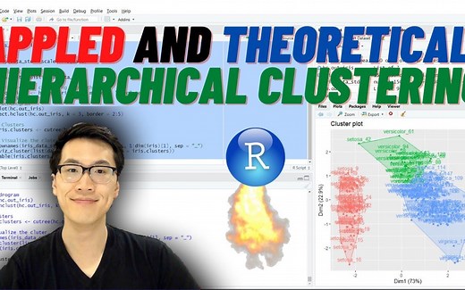 Hierarchical Clustering in R