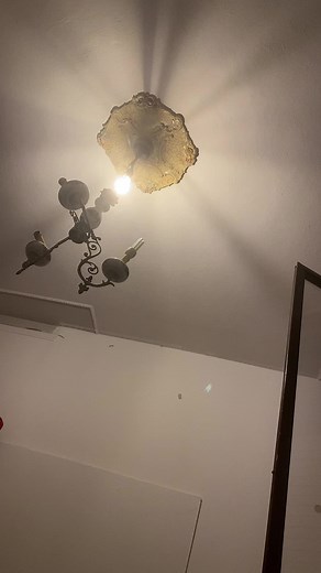 Ornate Vintage Ceiling Light Fixture Showcase