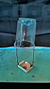 9.5K views · 71 reactions | Respect | flying plastic glass . . ....